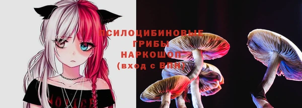 мет Арсеньев