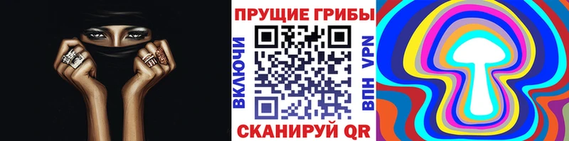 мориарти Telegram  Нефтегорск  Псилоцибиновые грибы Magic Shrooms 